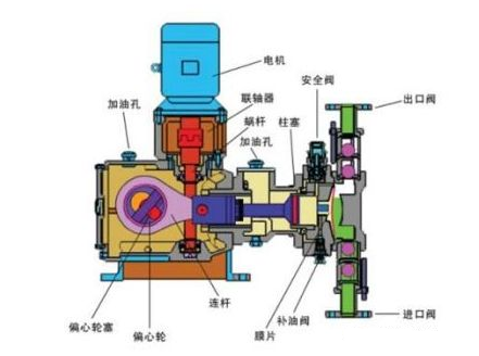 計量泵結構圖